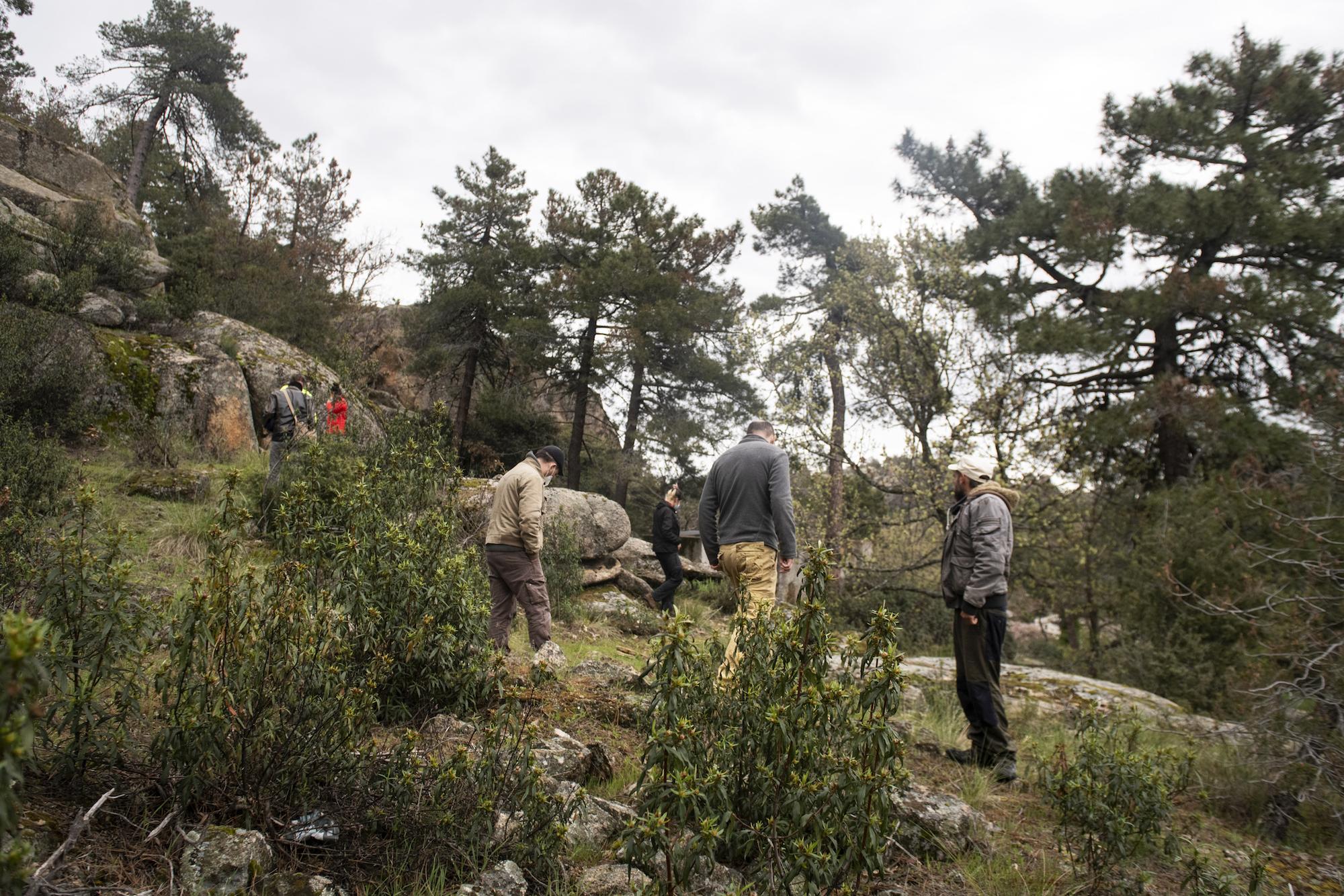 Proyecto arqueológico del Valle de los Caídos. Los campos de trabajo. - 1